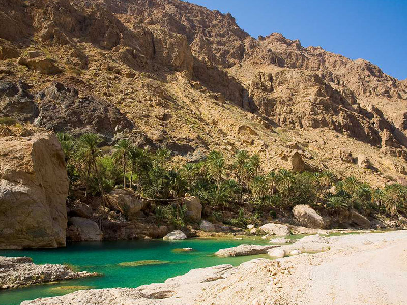 Nature & Culture Oman Tour — Wadi Al Arbeieen and Wadi Tiwi • Ras Al Jinz turtle reserve • Wahiba Sands desert camp • Bahla and Jabreen