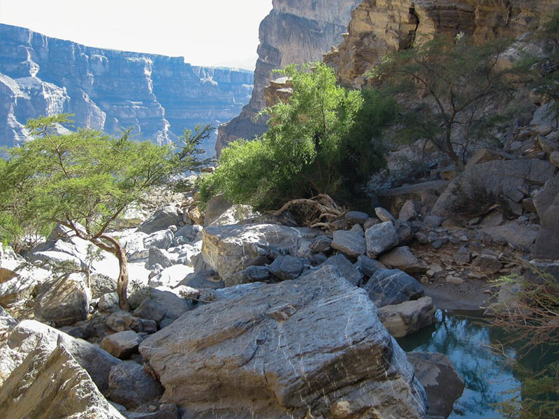 Fascinating Forts & Mountains — Oman tour
