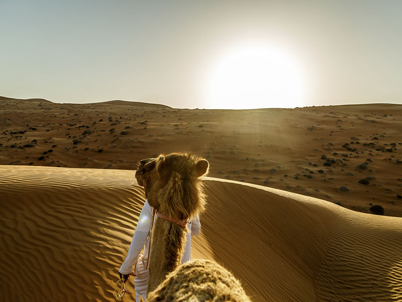 Ibra to Nizwa