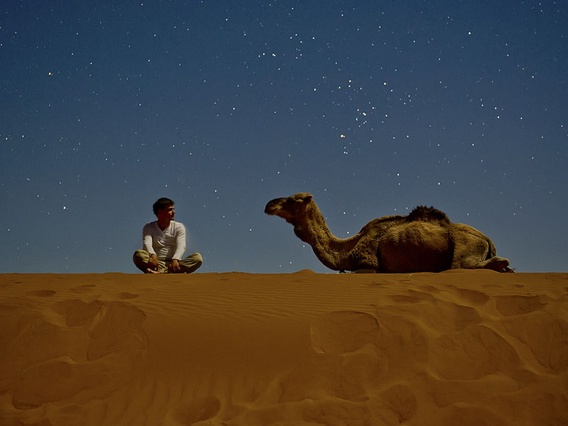 Oman Desert & Turtles Tour — Wahiba Sands desert night • Wadi Bani Khalid • Ras Al Jinz turtle watching • Jalan villages