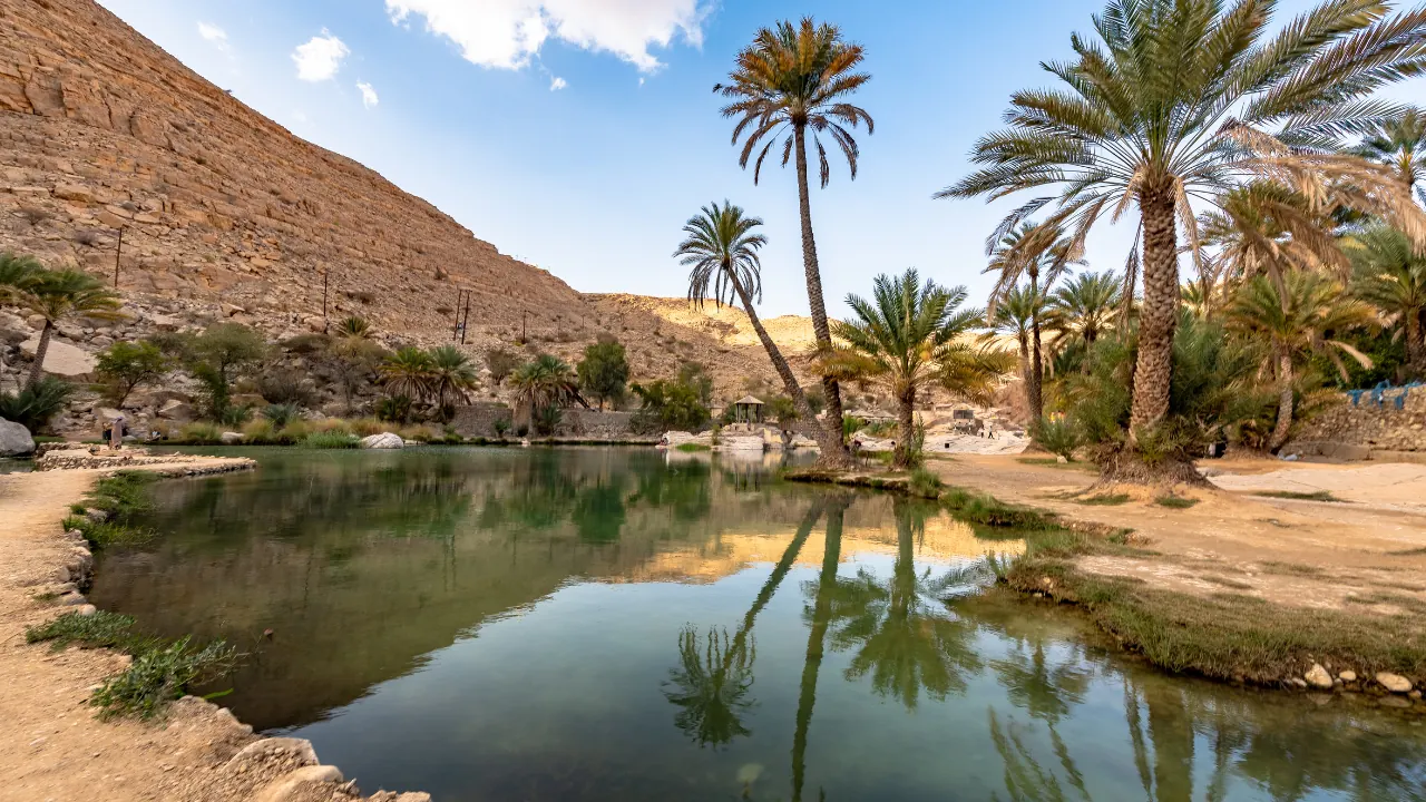 Still wadi pool reflecting date palms and rocky mountains