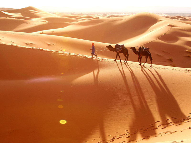 Empty Quarter & Salalah Expedition — Oman tour