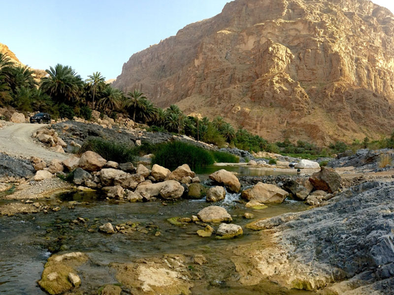 Wadi Al Arbeieen to the Turtle Coast