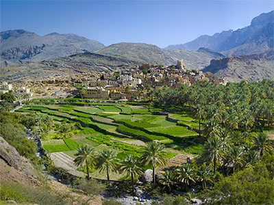 Nizwa Market, Jebel Shams & Misfat