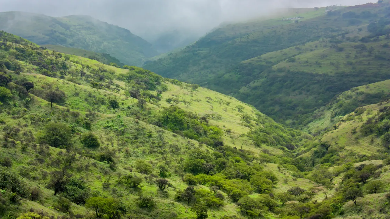 Rolling green hills and a wooded valley beneath low clouds