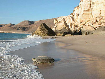 Wadis, Sur & Ras Al Jinz